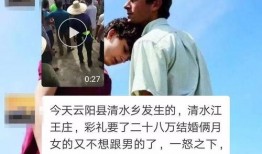 王庄最新爆料事件视频大全,事件视频大全深度解析